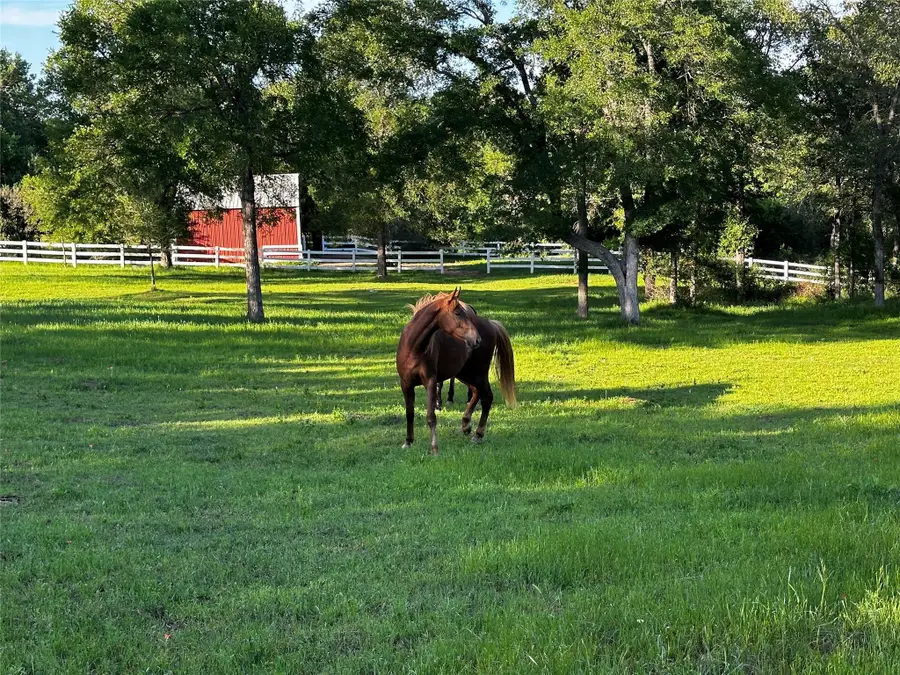 197 Colorado Dr, Cedar Creek, TX 78612 - #2