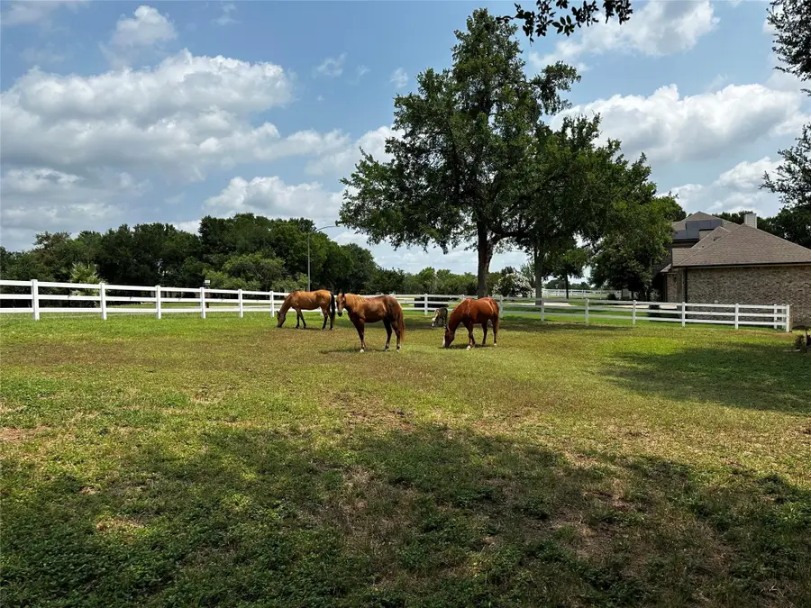 197 Colorado Dr, Cedar Creek, TX 78612 - #3