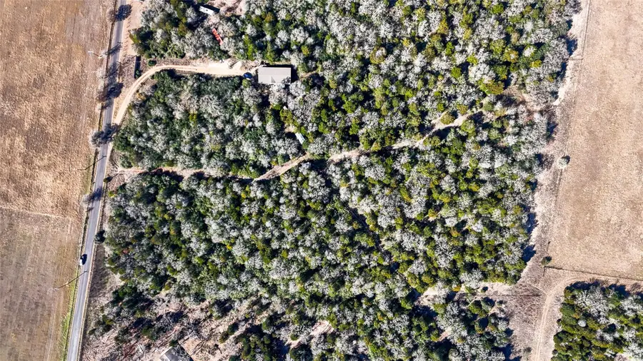 521 Paint Creek South Rd, Paige, TX 78659 - #3