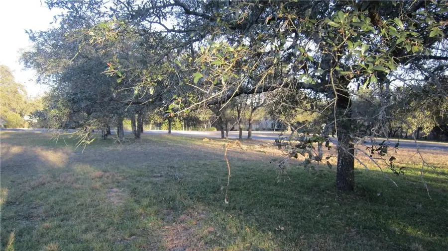 2604 Countryside Cir, Spicewood, TX 78669 - #2