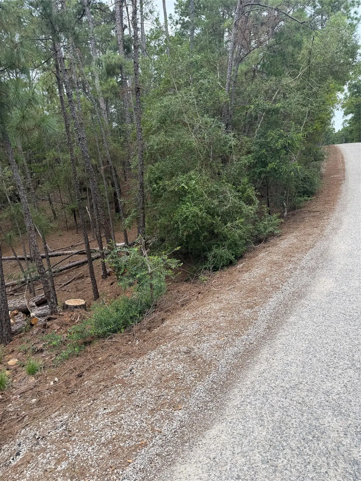 Lots 213 and 214 Hekili Dr, Bastrop, TX 78602 - #1