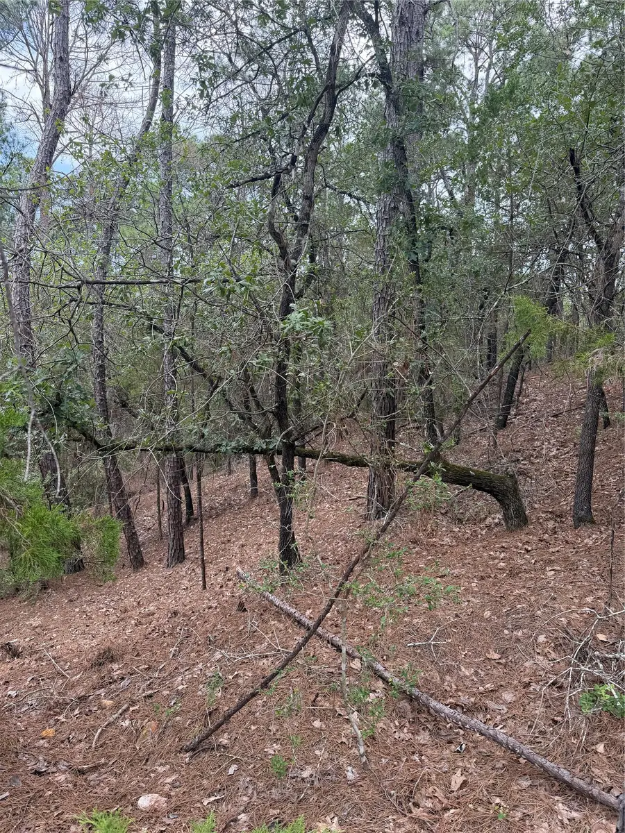Lots 213 and 214 Hekili Dr, Bastrop, TX 78602 - #3