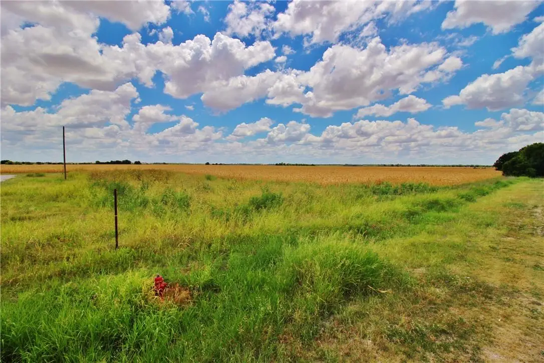 TBD E Jackson, Elm, Aisne, And Brook St. St, Bartlett, TX 76511 - #1