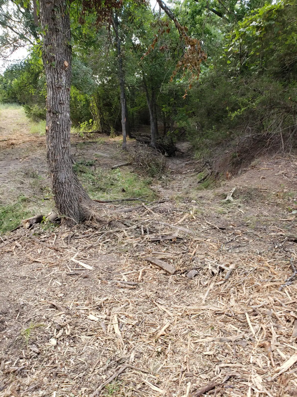 Lot 44 County Road 3640, Adamsville, TX 76522 - #1