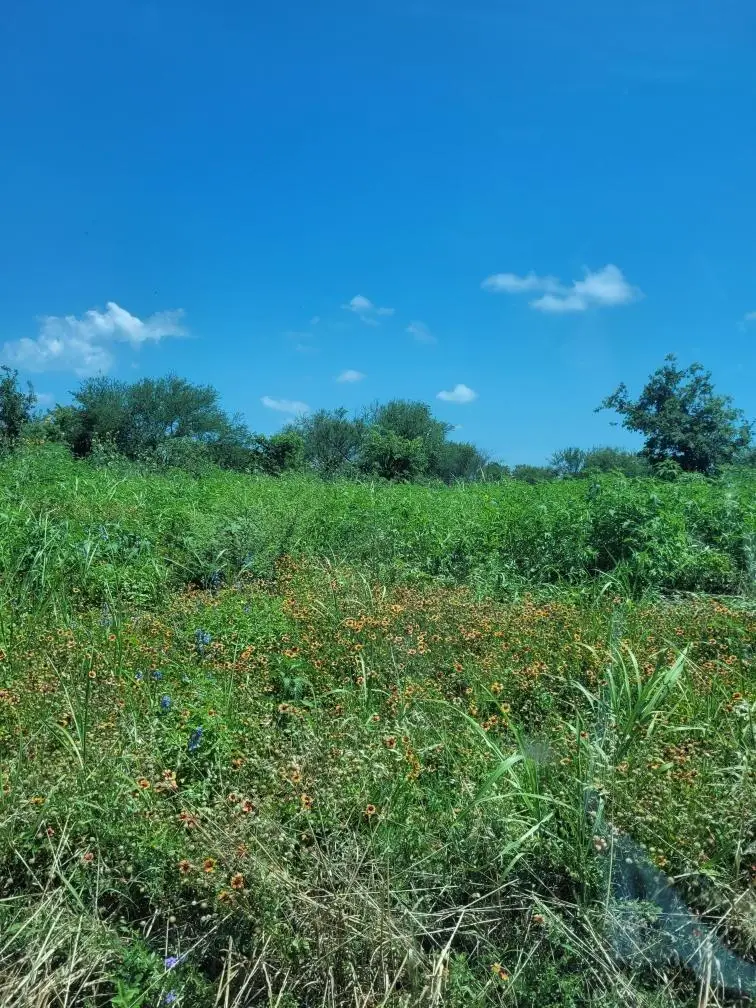 0 Emil Blank Rd, Yoakum, TX 77995 - #3