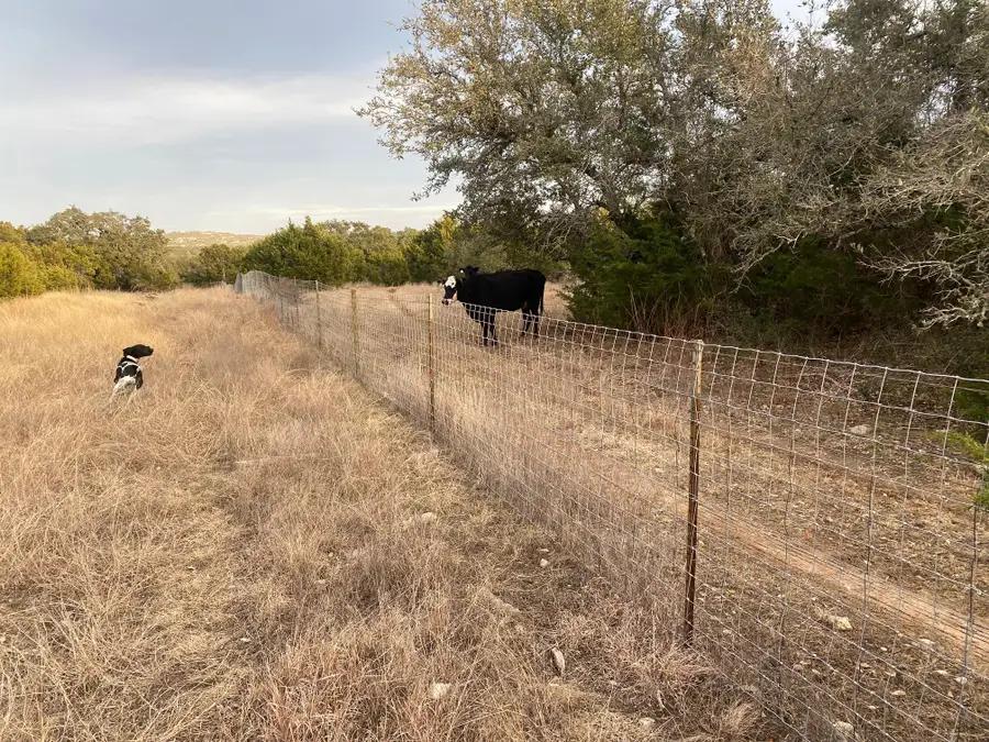 Lot 94 E. Dripping View Ct, Blanco, TX 78606 - #3