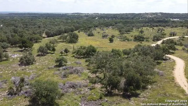 550 Windmill Ridge Dr Dr, Blanco, TX 78606