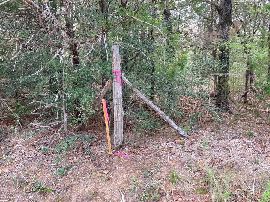 314 Green Oaks Dr #Lot 14-B, Bastrop, TX 78602 - #2