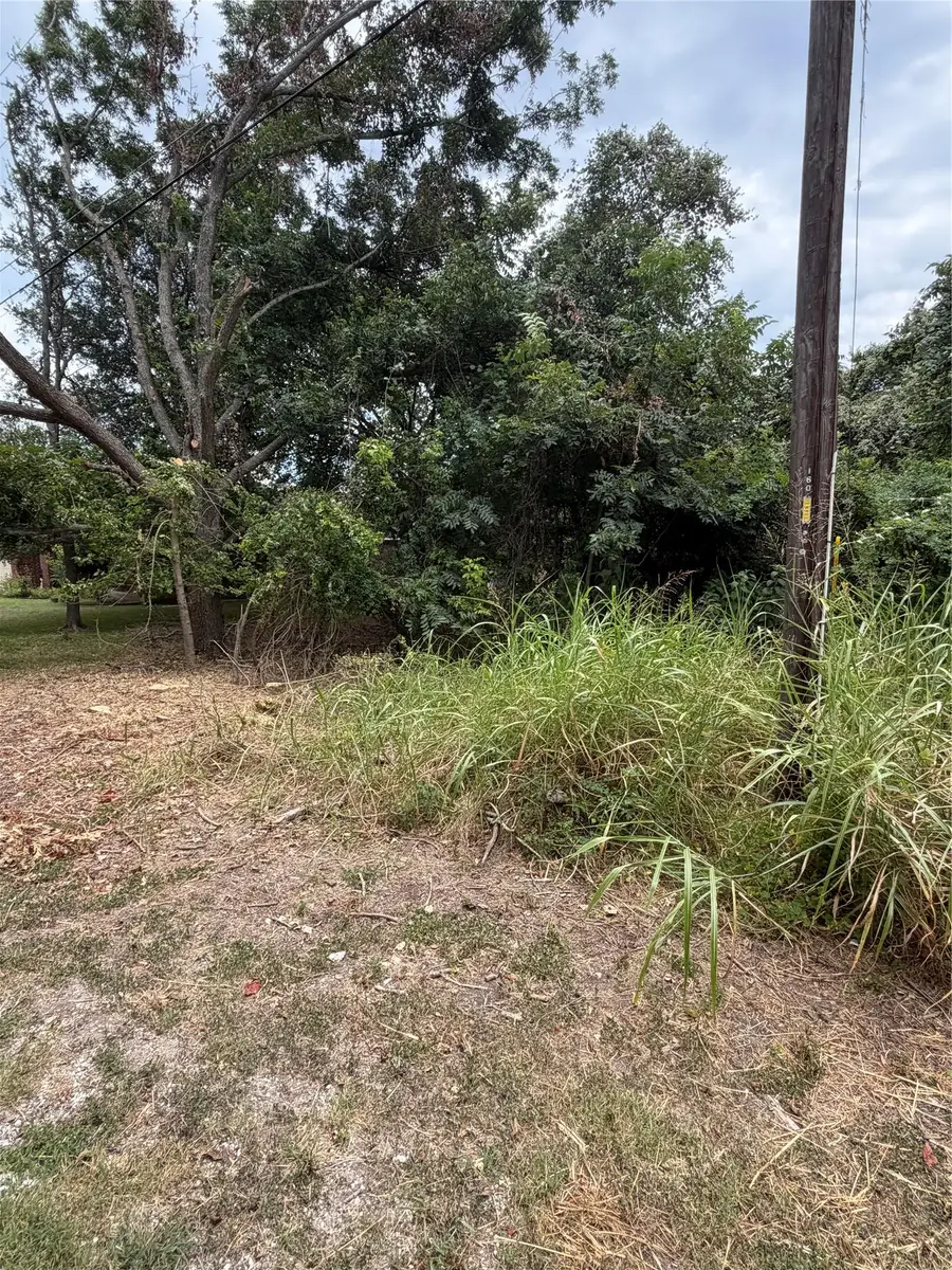 161 Kahana Ln, Bastrop, TX 78602 - #3