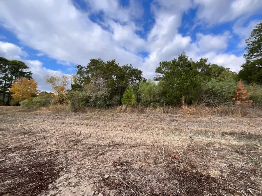 112 Shore Front Dr, Bastrop, TX 78602 - Image #3