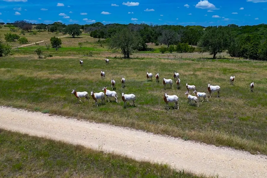 1480 Harmon Rd, Copperas Cove, TX 76522 - #3