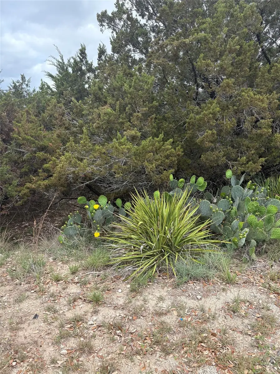 20905 Magellan Cv, Lago Vista, TX 78645 - #3