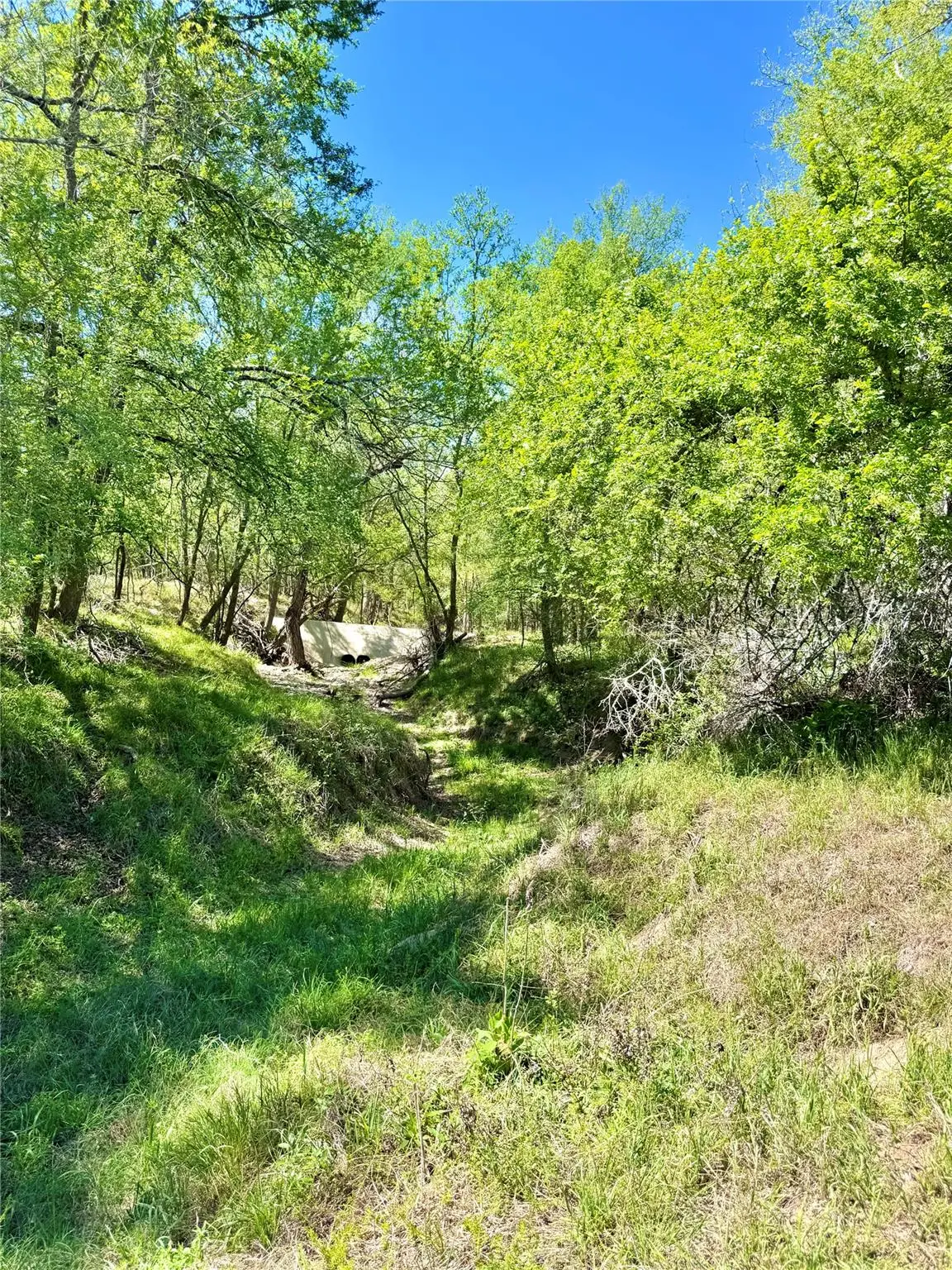 3775 Baker Rd, Kingsbury, TX 78638 - #1