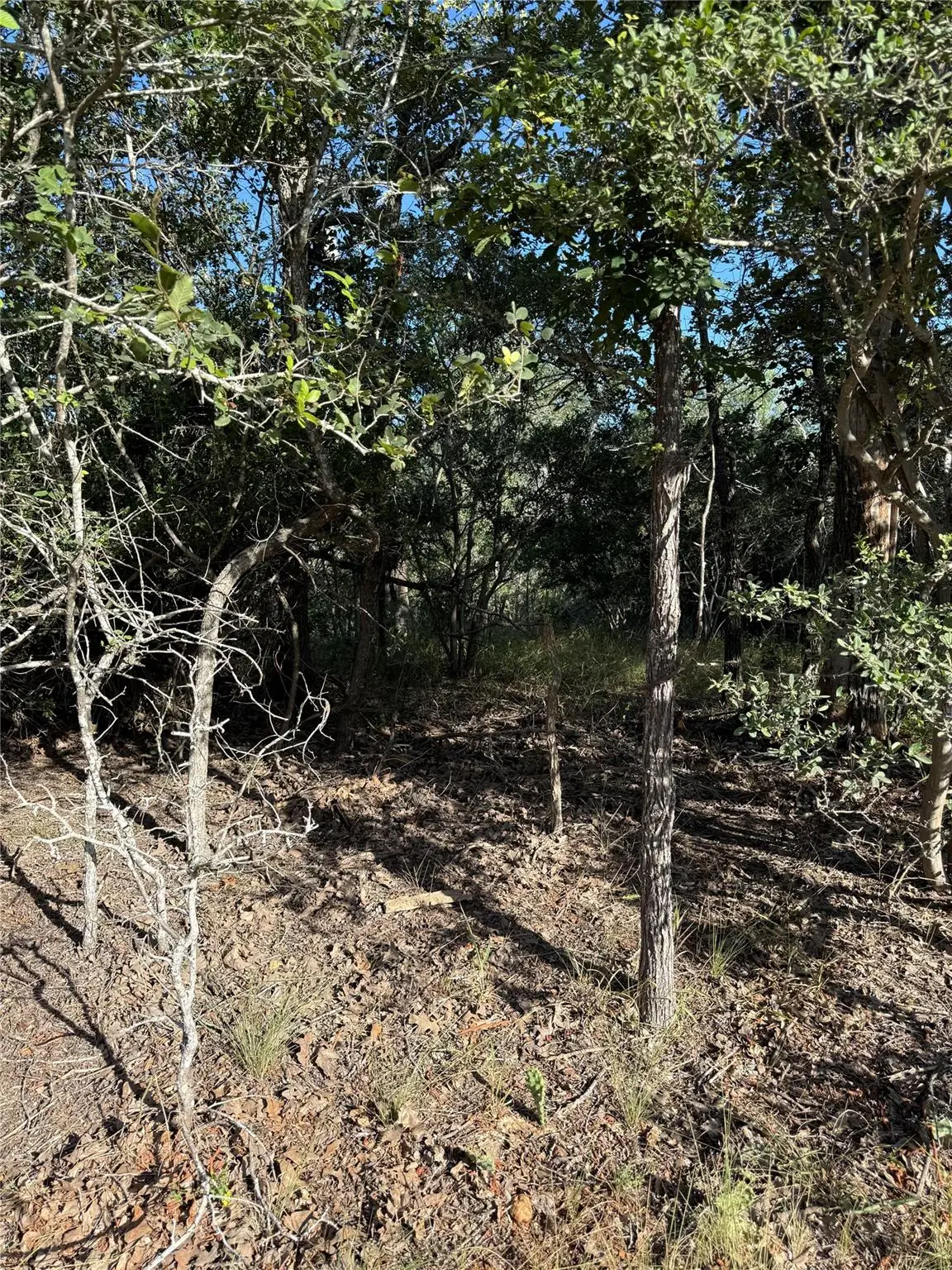152 Helemano Dr, Bastrop, TX 78602 - #1