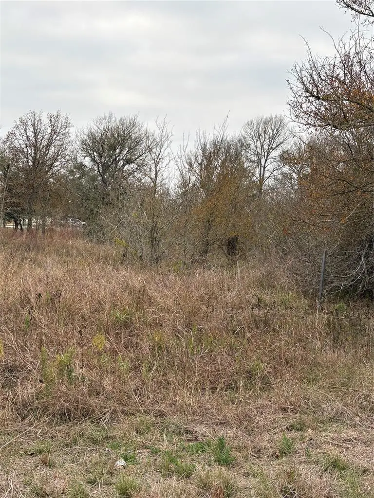 TBD James Craft Road James Craft Rd, Somerville, TX 77879 - #2