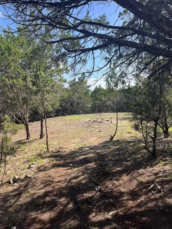 753 Appaloosa Dr, Fischer, TX 78623