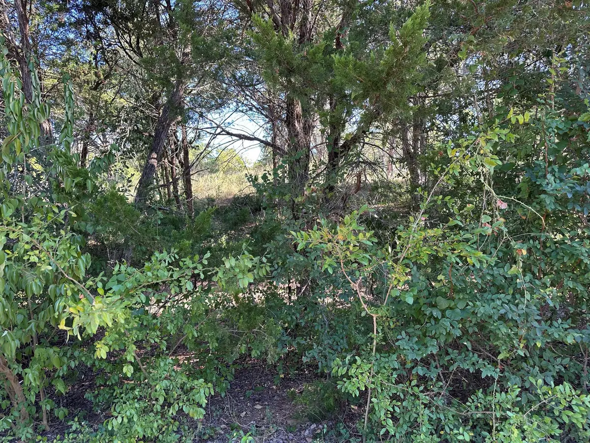 LOT 9 Robin Run, Bastrop, TX 78602 - #1