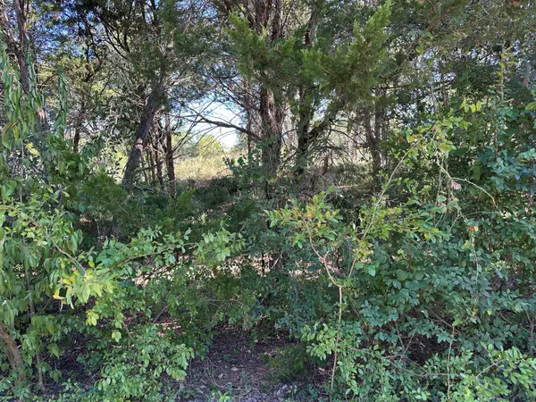 LOT 9 Robin Run, Bastrop, TX 78602