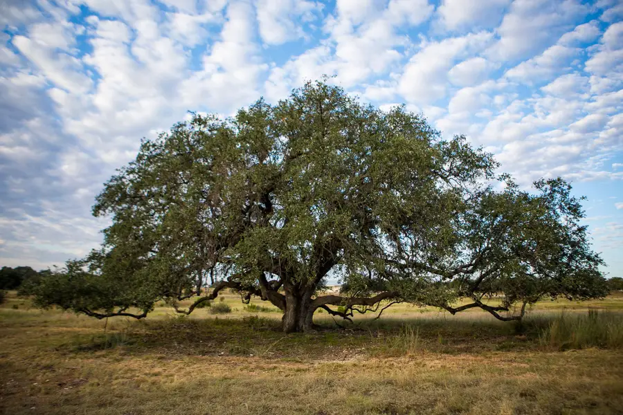 0 Vaquero Vista Trl, Lampasas, TX 76550 - #3