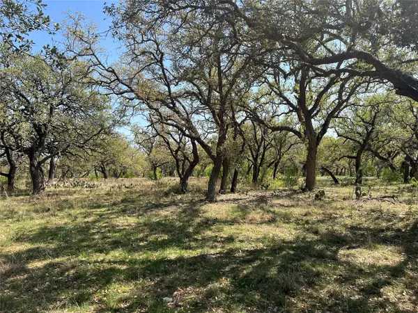 Lot 43 Waterbuck Way, Lampasas, TX 76550