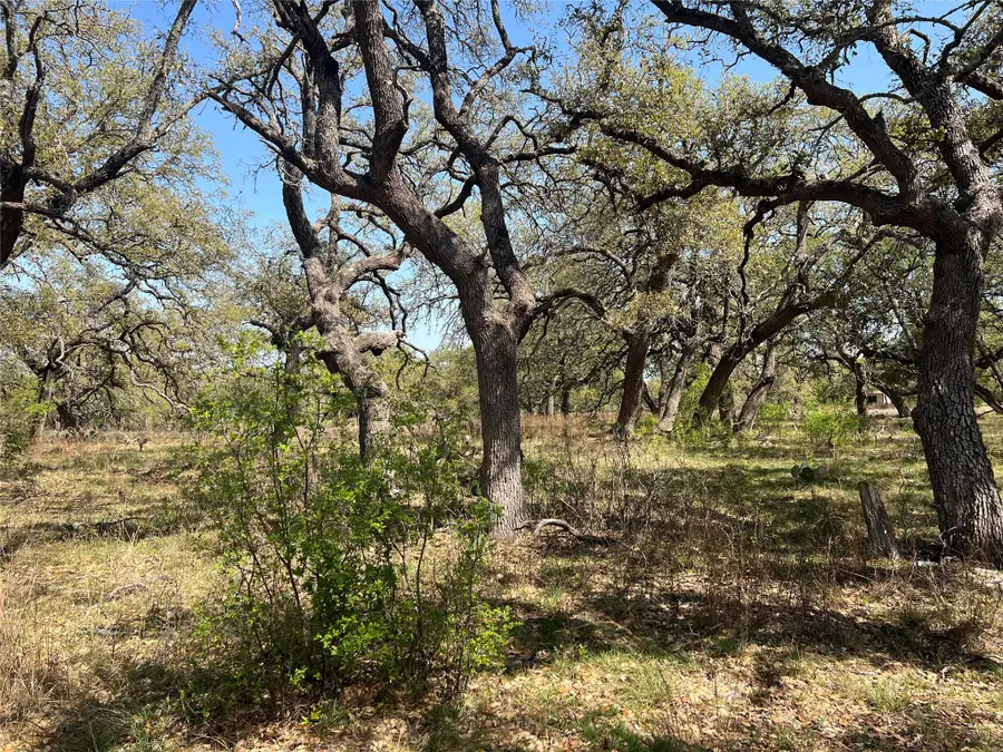 Lot 43 Waterbuck Way, Lampasas, TX 76550 - #2