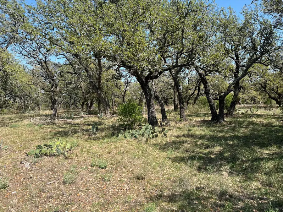 Lot 43 Waterbuck Way, Lampasas, TX 76550 - #3