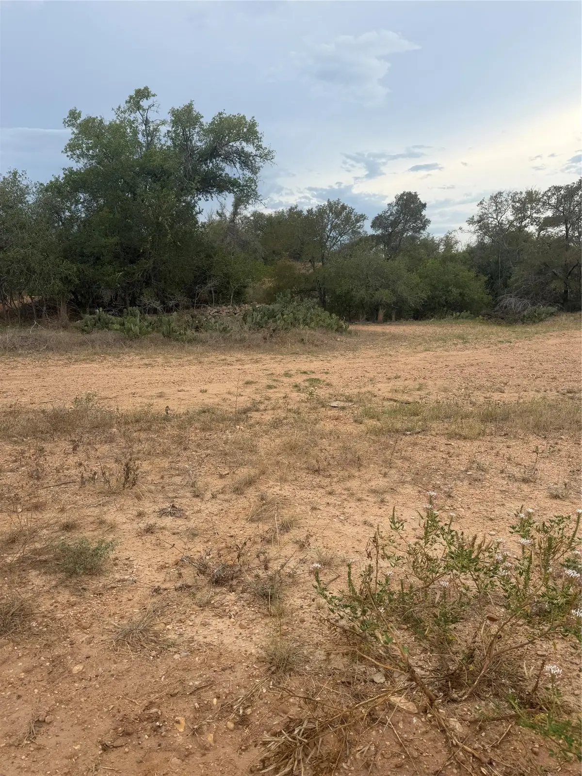 309 Kahana Ln, Bastrop, TX 78602 - #1
