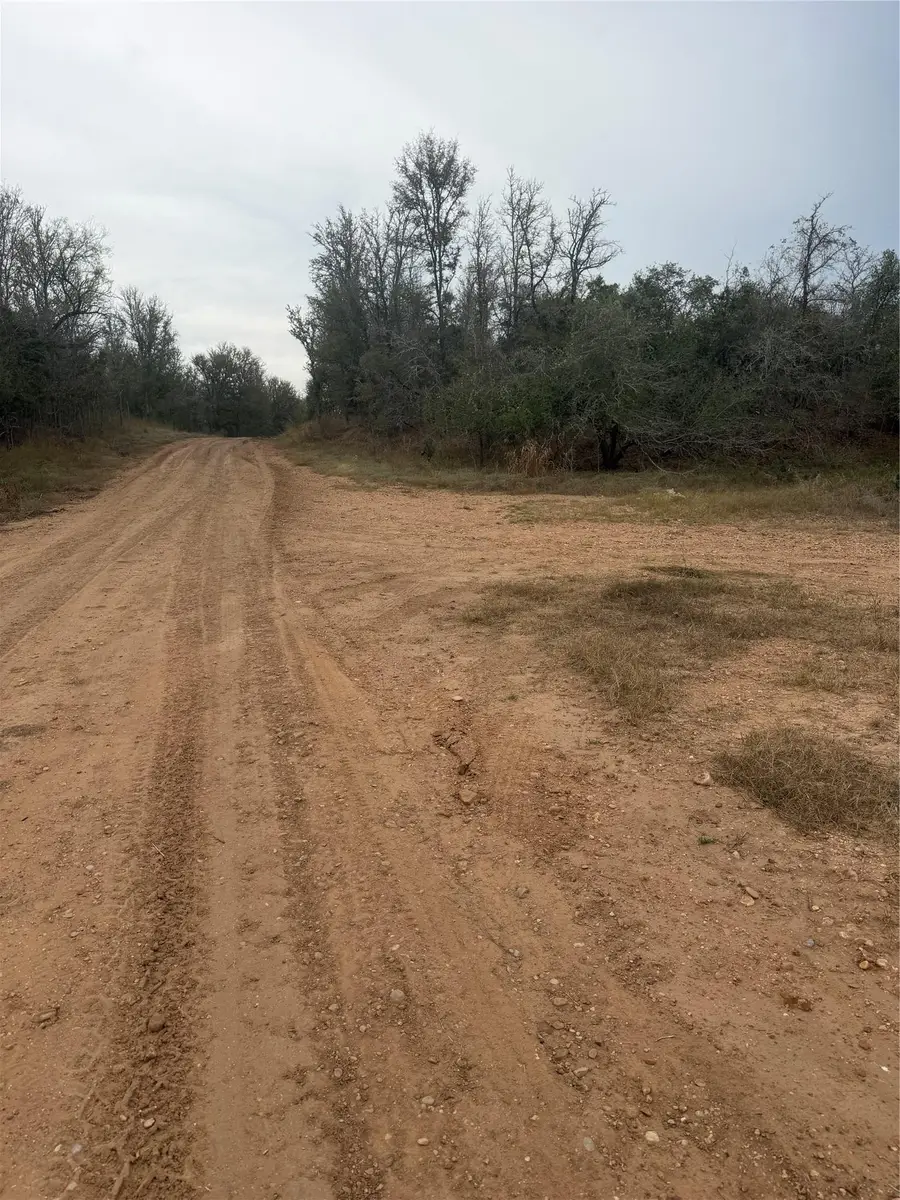 309 Kahana Ln, Bastrop, TX 78602 - #3