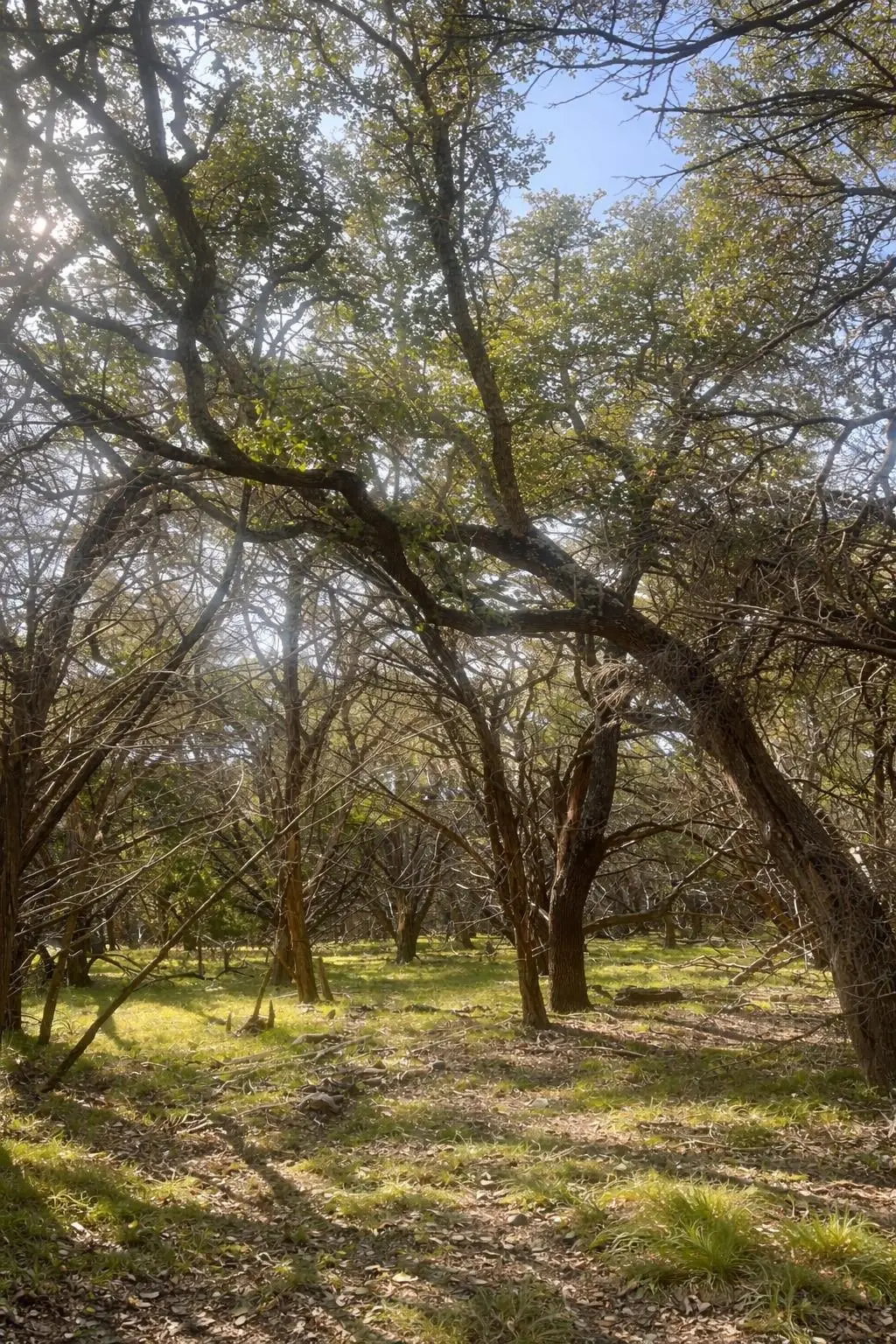 4314 County Road 108, Burnet, TX 78611 - #1