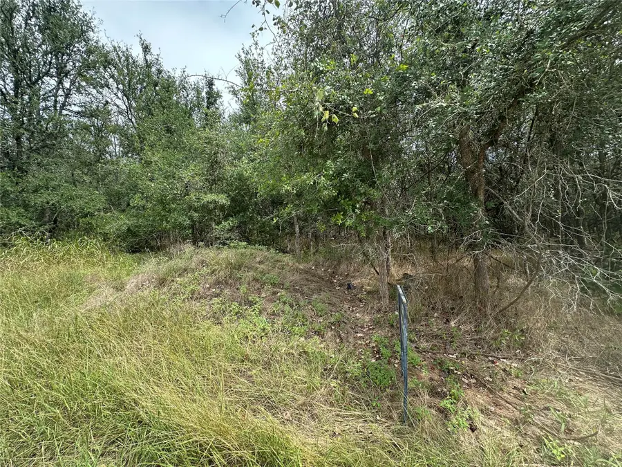 107 Halawa Ct, Bastrop, TX 78602 - #2