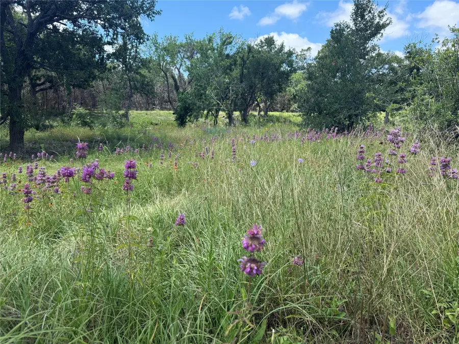 5150 Cr 254, Bertram, TX 78605 - #2