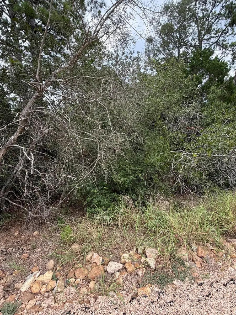 Lots  407 and 408 Molokini Dr, Bastrop, TX 78602 - #3
