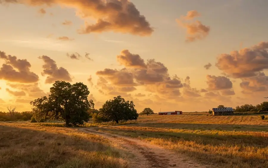 5043 Old Waelder Rd, Flatonia, TX 78941 - #3