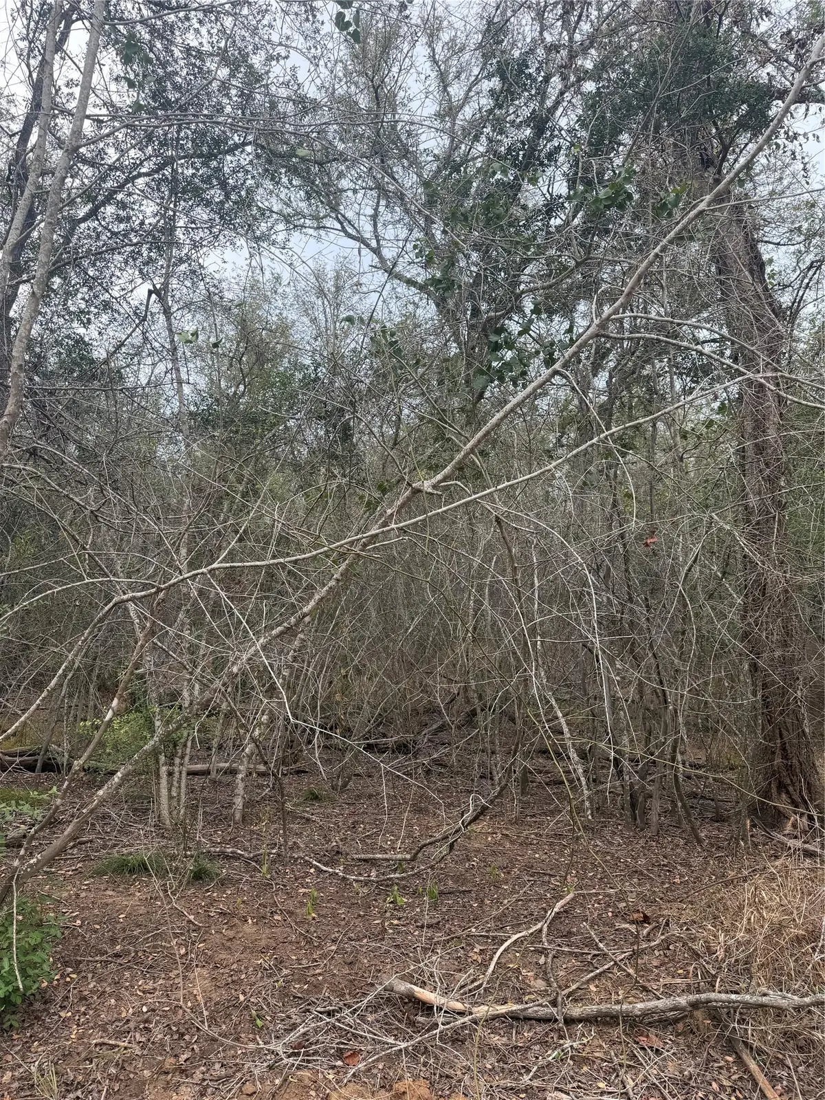 Lots 565 and 566 Mokulua Ln, Bastrop, TX 78602 - #1