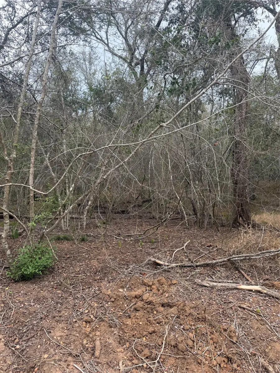 Lots 565 and 566 Mokulua Ln, Bastrop, TX 78602 - #3
