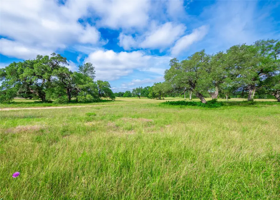202 Mason Ct, Driftwood, TX 78619 - #3