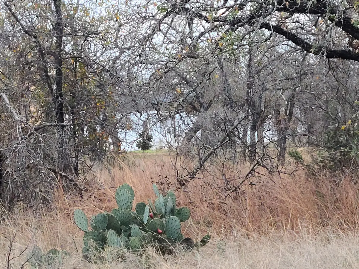 0 Peg Leg Ln, Buchanan Dam, TX 78609 - #1