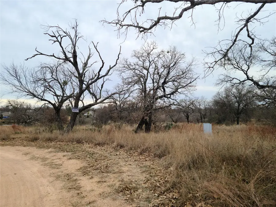 0 Peg Leg Ln, Buchanan Dam, TX 78609 - #3