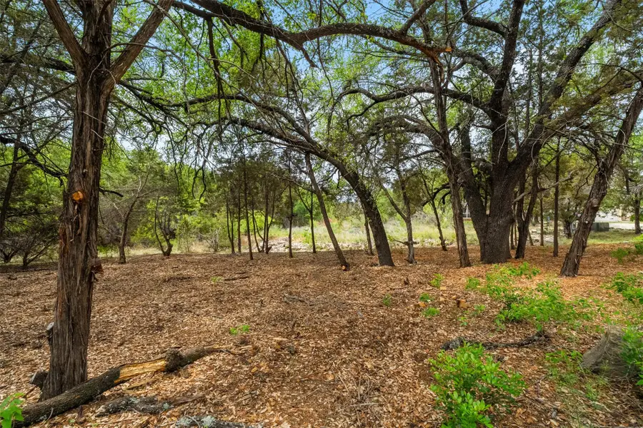 2901 Ticonderoga Cv, Lago Vista, TX 78645 - #3