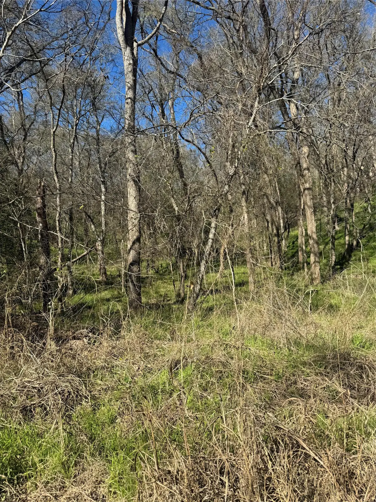 Lots 638. 639. 640 Kaukonahua Ln, Bastrop, TX 78602 - #1