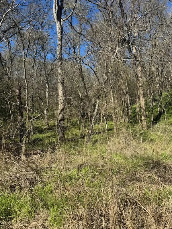 Lots 638. 639. 640 Kaukonahua Ln, Bastrop, TX 78602