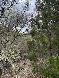 20801 Jamestown Cv, Leander, TX 78645 - #3