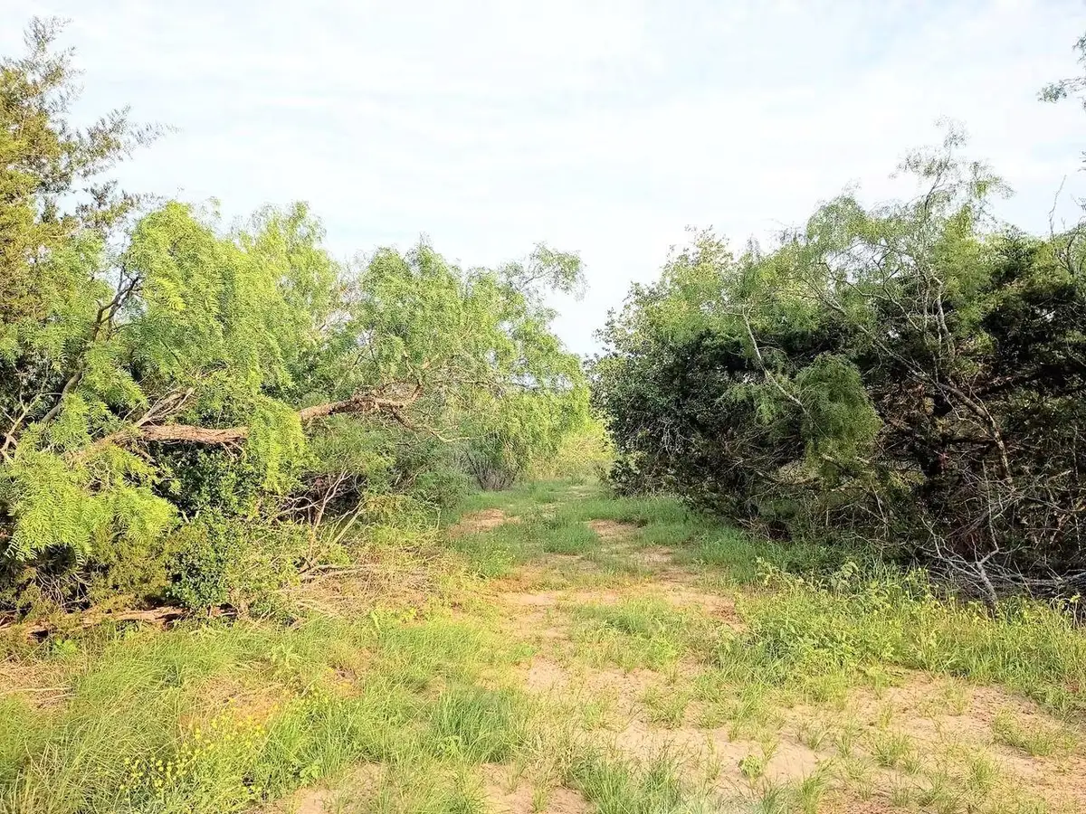 TBD Mesquite Dr, Cedar Creek, TX 78612 - #1