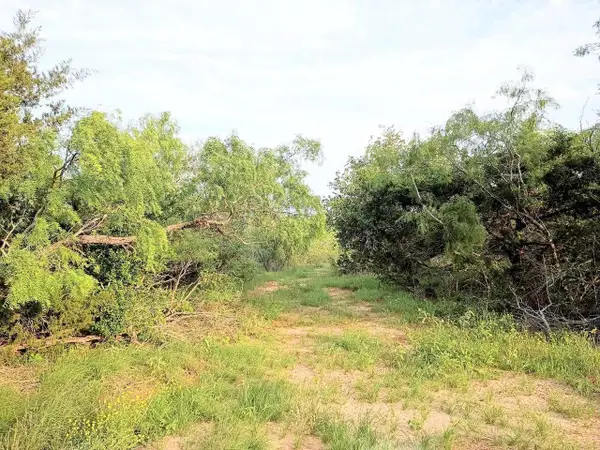 TBD Mesquite Dr, Cedar Creek, TX 78612