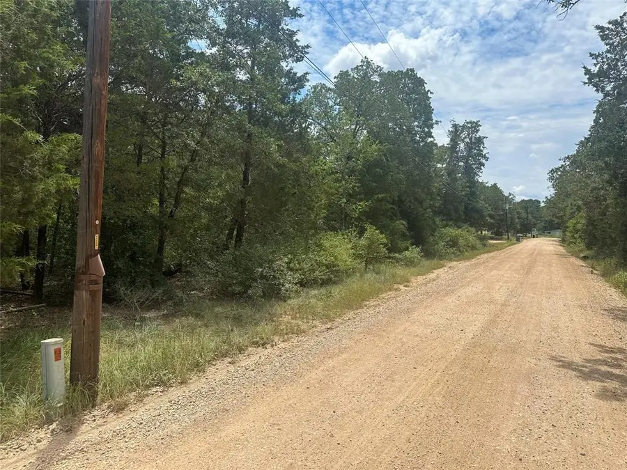 246 Arrowhead Dr, Smithville, TX 78957 - #2