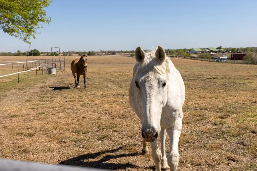 13639 Abrahamson Rd, Manor, TX 78653 - #3