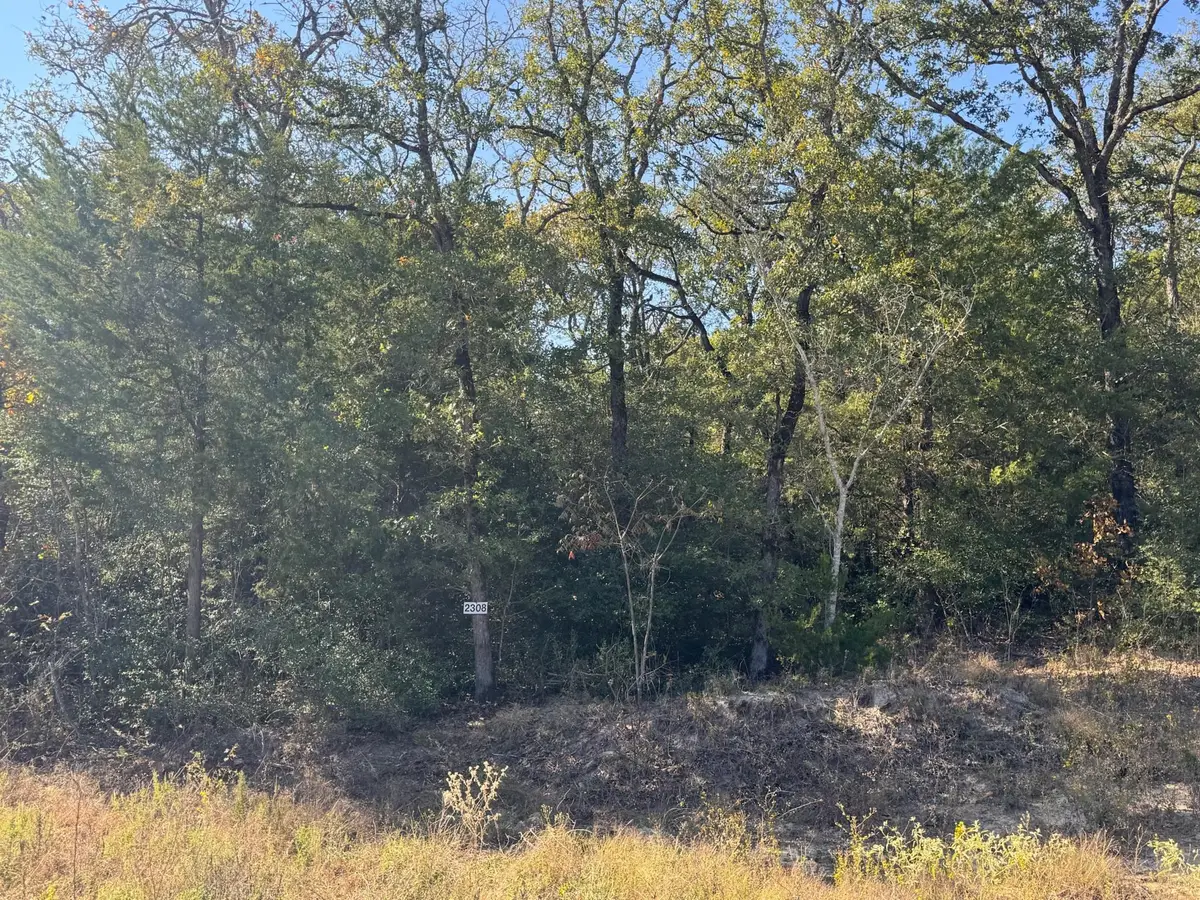 2308 Myrtle Ln, Cameron, TX 76520 - Image #1