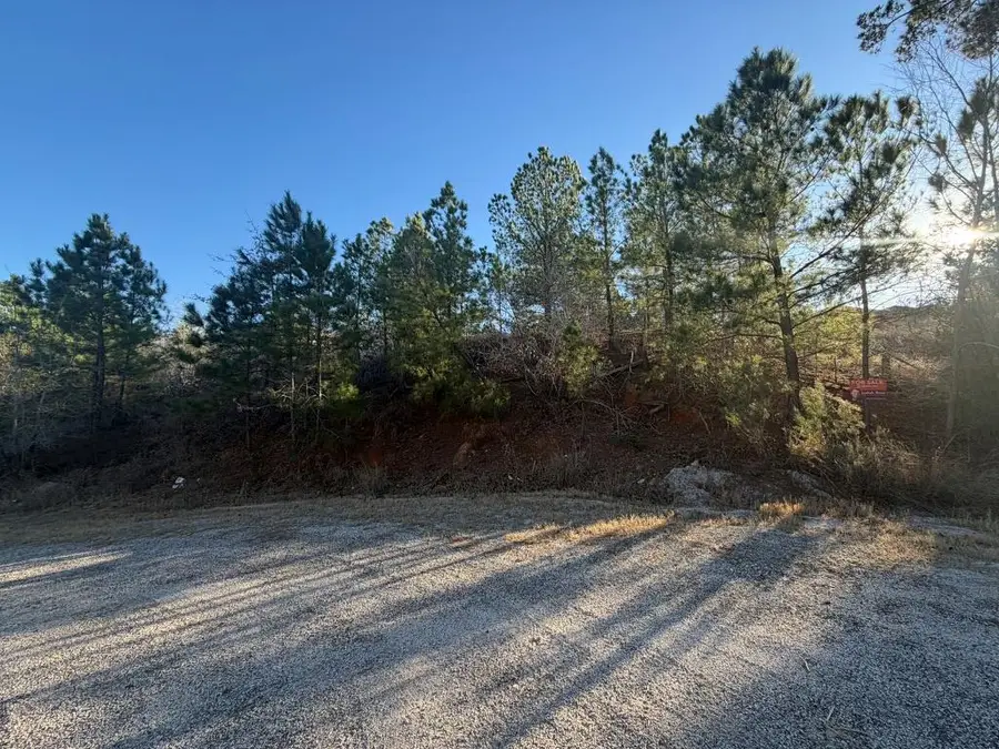 Lot 181 Keo Kea Ct, Bastrop, TX 78602 - #2