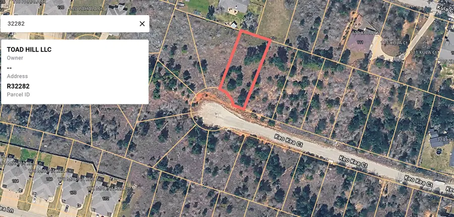 Lot 181 Keo Kea Ct, Bastrop, TX 78602 - #3