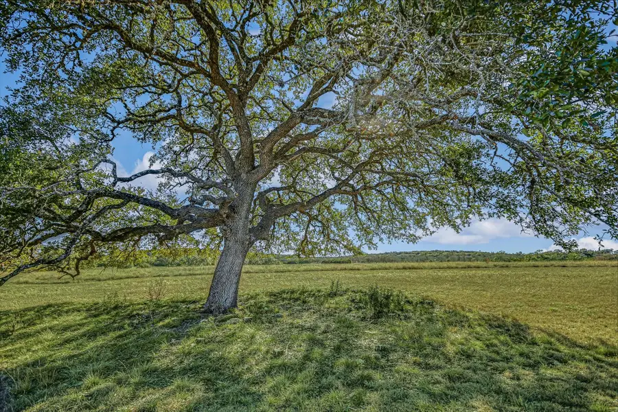 4698 Fischer Store Rd, Wimberley, TX 78676 - #3